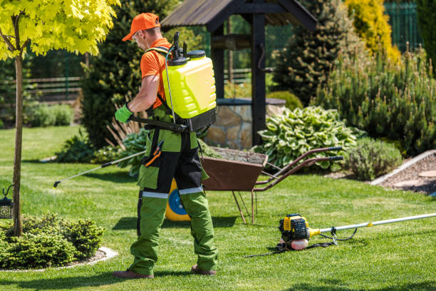 Best Bee and Wasp Removal  in Delta Junction, AK